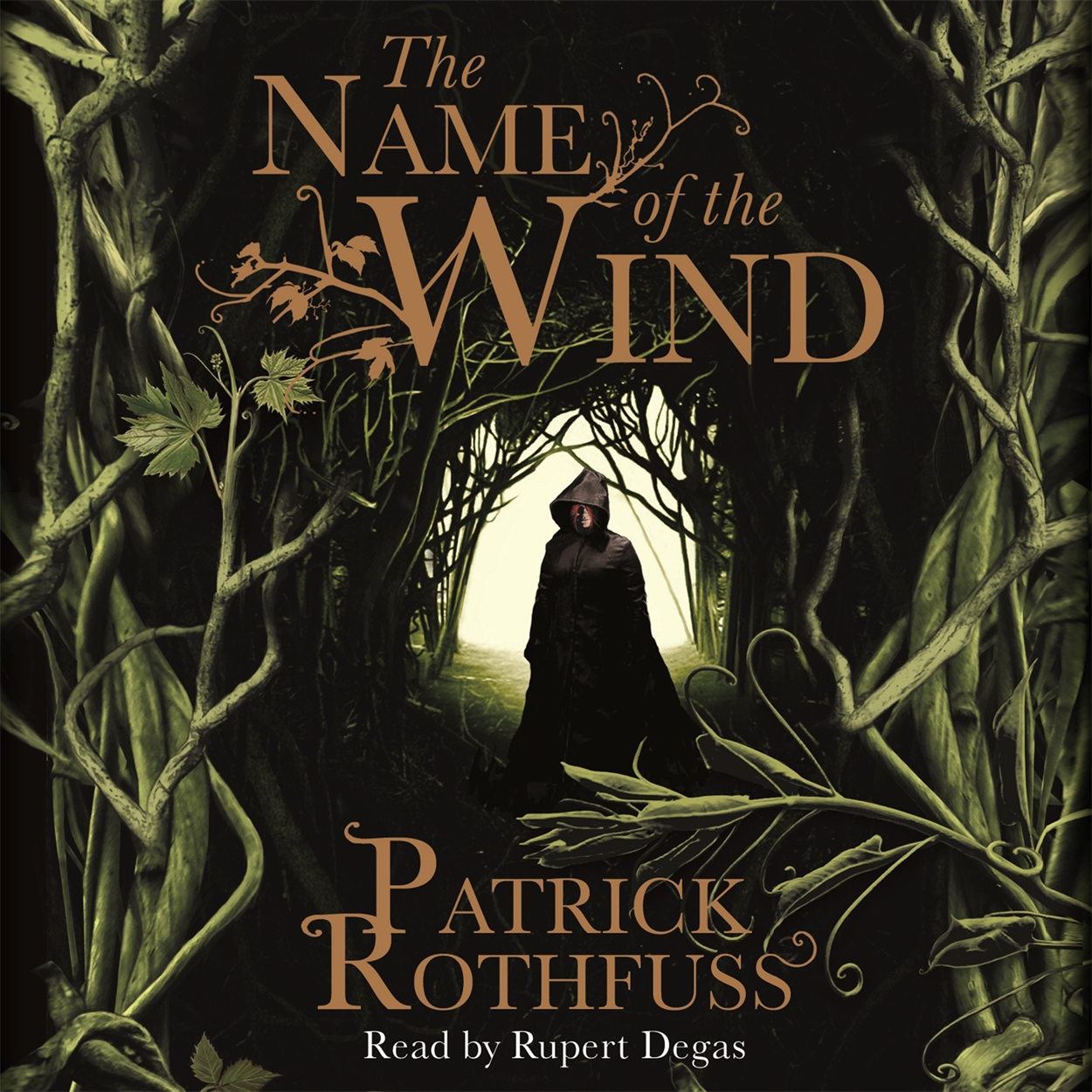Кличка ветер. The name of the Wind Патрик Ротфусс. The name of the Wind by Patrick Rothfuss. Имя ветра Патрик Ротфусс обложка. Имя ветра книга.
